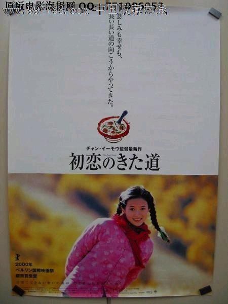 怎么购买葡萄牙驾照